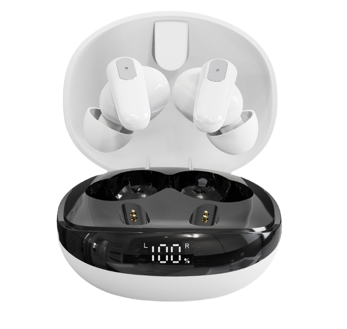 Canal Digital Hearing Aids