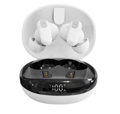 Canal Digital Hearing Aids