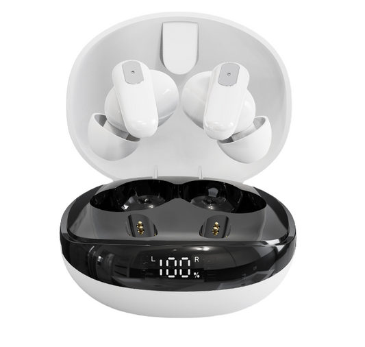Canal Digital Hearing Aids